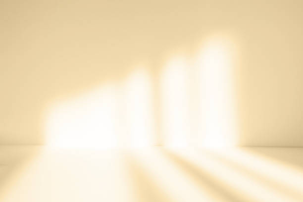 istock Abstract beige studio background for product presentation. Empty room with shadows of window. Display product with blurred backdrop. 1392694836