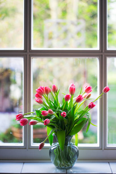 bouquet of beautiful pink tulips on the window sill. Amsterdam\