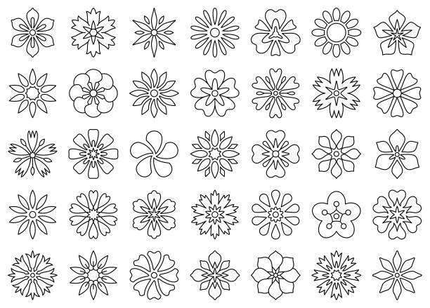 illustrations, cliparts, dessins animés et icônes de ensemble d’icônes de fleur - flower head sunflower chrysanthemum single flower