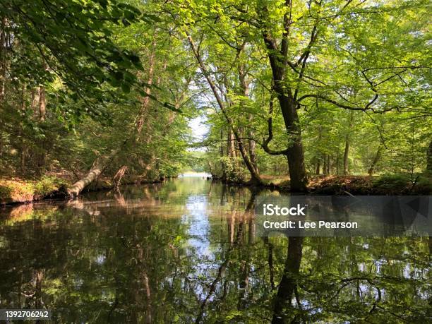 River Reflections Stock Photo - Download Image Now - Silkeborg - Denmark, Color Image, Denmark