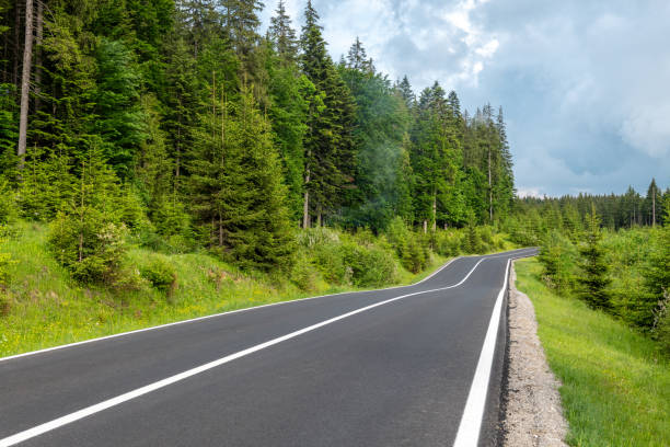 istock Roadside of highway going in forest 1392710820