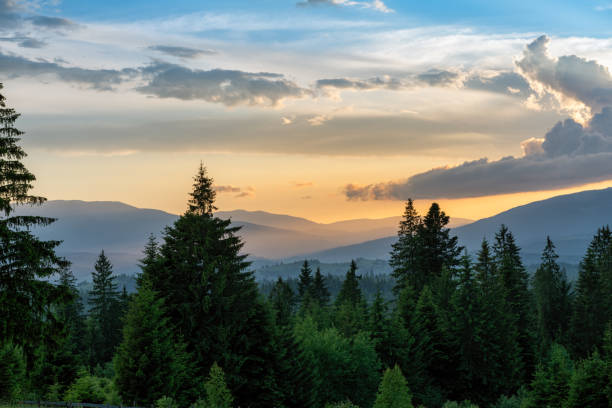 istock Warm sunset in green mountains 1392710869