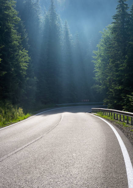 istock Road bend in foggy forest in morning 1392710896