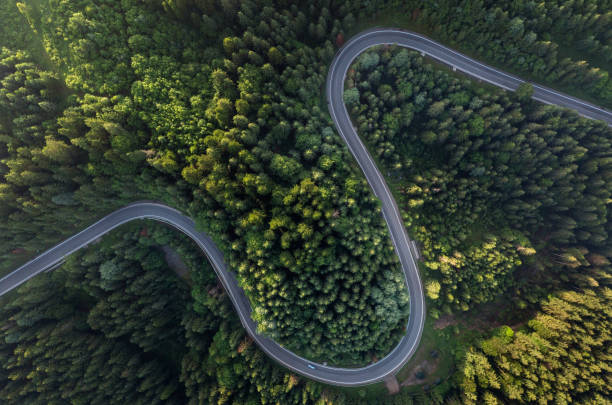 istock Beautiful winding road in green forest 1392710989
