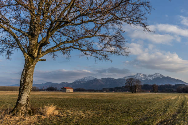 istock View to the Chiemgau Alps 1392712611