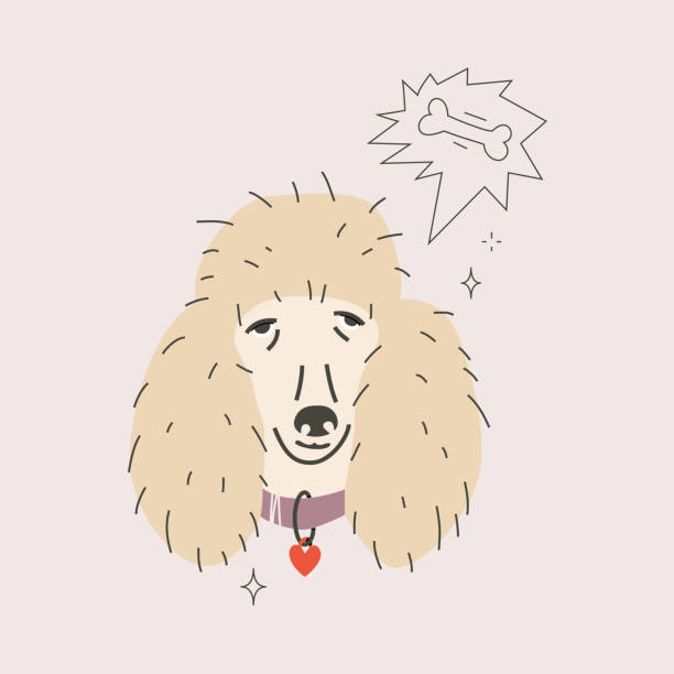 푸들 총구와 스피치 버블 - grooming dog pets poodle stock illustrations