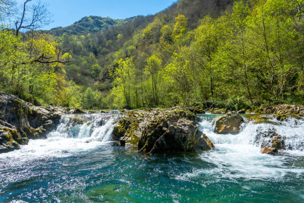 The Sella river between the Tornin to the Olla de San Vicente, near Cangas de Onis. Asturias. Spain stock photo