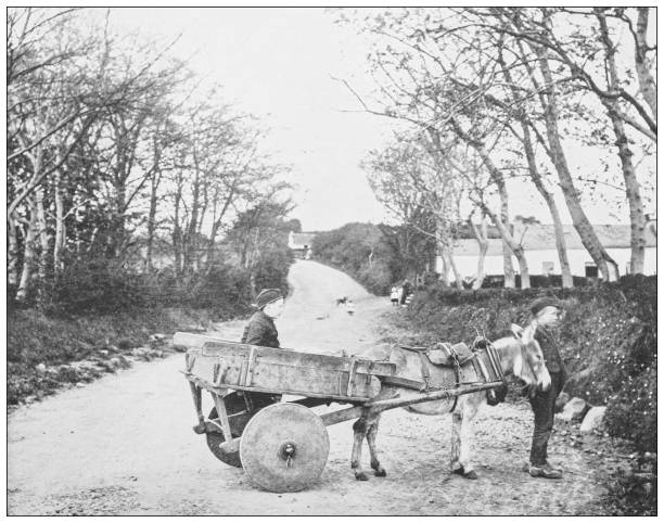 antyczna fotografia irlandii: osioł i wózek, carrickfergus - northern ireland obrazy stock illustrations