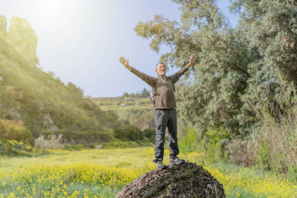 日没時に陽気な顔で腕を上げて岩の上に立っている白髪の中年の引退した男性の写真。 - motivation rock flower single flower ストックフォトと画像