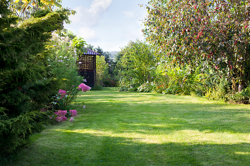 Summer house in the beautiful backyard green garden landscape and fresh, green lawn background with a lot pf space.