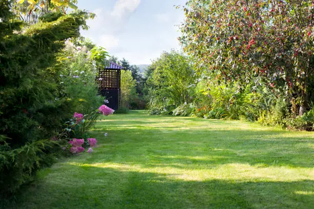 Summer house in the beautiful backyard green garden landscape and fresh, green lawn background with a lot pf space.