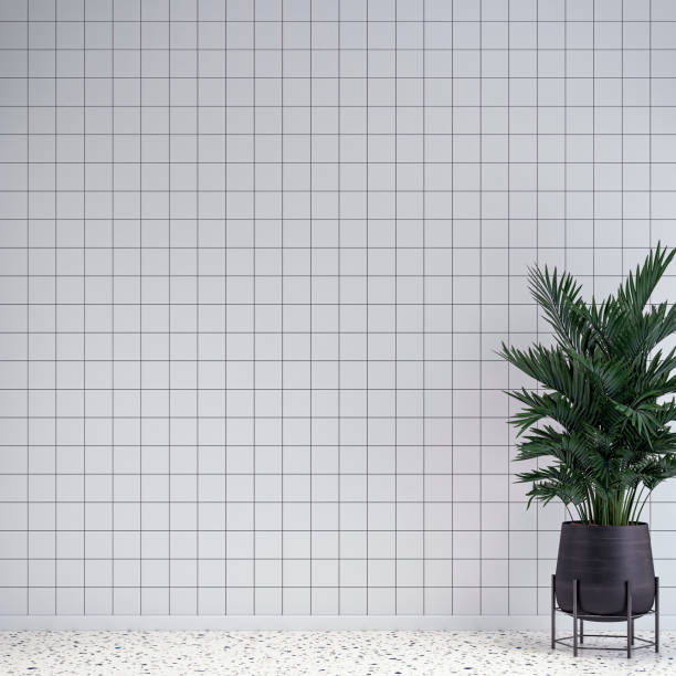 Empty unfurnished interior with a large potted plant (howea forsteriana ) in gray pot in front of a white and gold square tiled wall background on terrazzo floor with copy space. 3D rendered image.