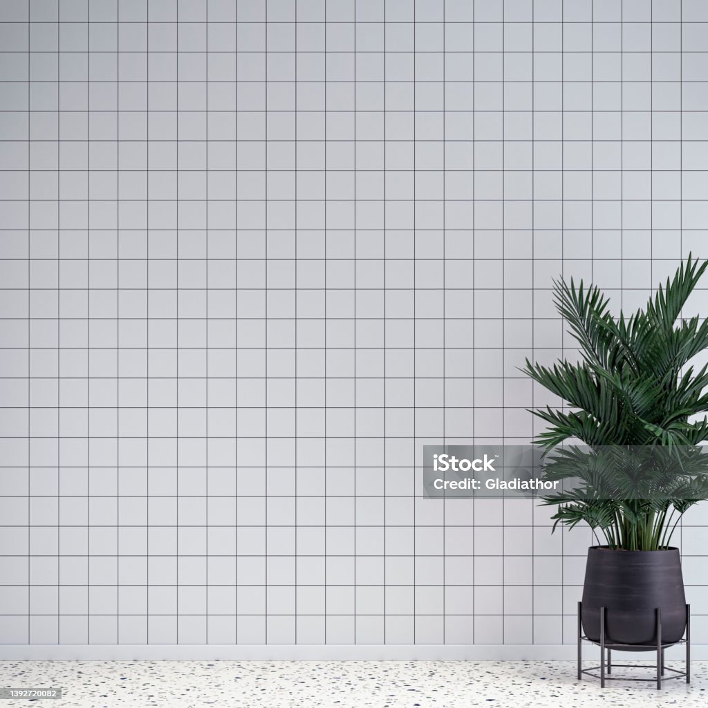 Empty unfurnished interior with geometric shape tiled wall background and potted plant (palm tree) retro 80's style Empty unfurnished interior with a large potted plant (howea forsteriana ) in gray pot in front of a white and gold square tiled wall background on terrazzo floor with copy space. 3D rendered image. Tile Stock Photo
