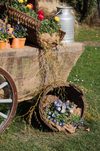 istock Flowers in crates baskets and watering can on cart table 1392723623