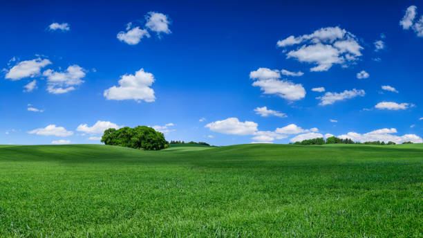 istock Panoramic spring landscape XXXXL 133 MPix - green field, blue sky 1392726086