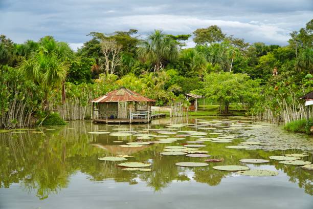 lima, perù nell'aprile 2022 - iquitos foto e immagini stock