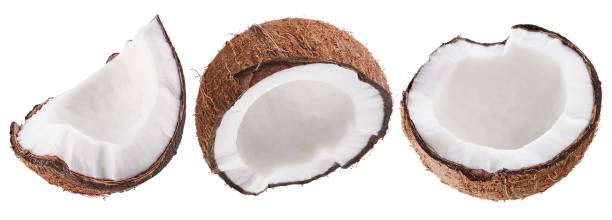 istock Coconut collection set isolated on white background 1392729169