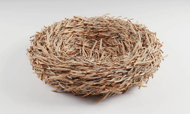 Empty straw nest with twigs on a white background