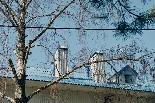 The roof of the building is made of blue slate, ventilation pipes are located on the roof, birch grows nearby