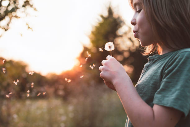 istock Little boy blowing dandelion 1392733963