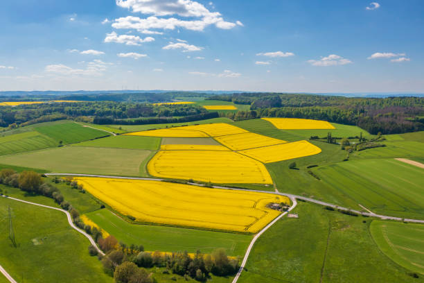 istock Spring landscape in the Taunus/Germany from above 1392736794