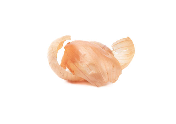 Top layer of onion peels on a white background. Copy space.