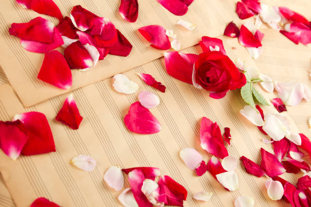 istock Music and romance 1392748697