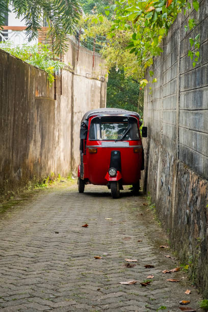 rotes tuk-tuk unter den palmen auf der landstraße in sri lanka. - sri lanka jinrikisha rickshaw tricycle stock-fotos und bilder