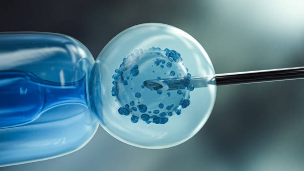 istock Ovum with needle for artificial insemination or in vitro fertilization. 3D Rendering 1392751227