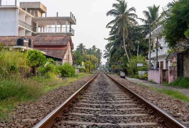 ヒッカドゥワのスリランカの鉄道道路 - asia forest sri lanka rock ストックフォトと画像