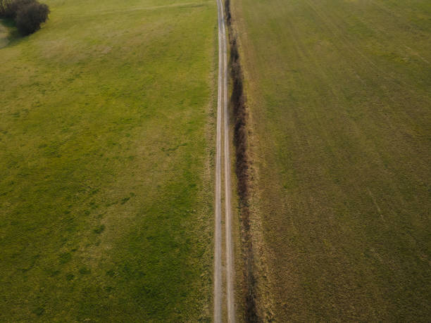 istock Dirt road in the field in spring 1392751613
