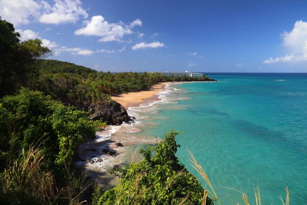 istock Grand Bas Vent Beach, Guadeloupe 1392751912