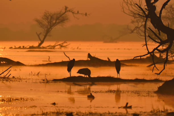istock Sunrise stock photo 1392753712