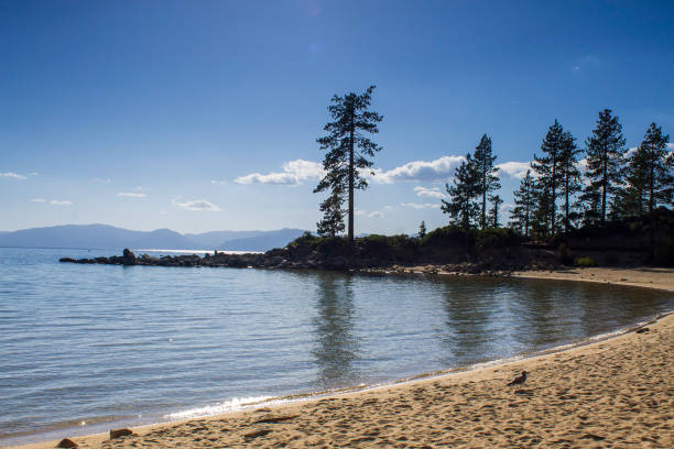 istock Shore of Lake Tahoe 1392755350
