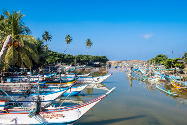 fishing catamaran boat