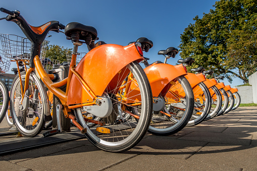 Orange bicycles lined up on pavement in the city. Bike urban transport. Detail of wheels at bicycle sharing point. Modern ecological transport.