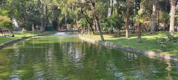 istock Pond in Public Promenade 1392760354