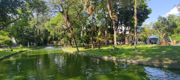 istock Views of the park 1392760358