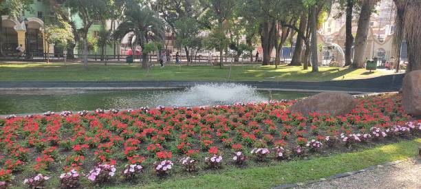 istock Red flowers in the park 1392760386