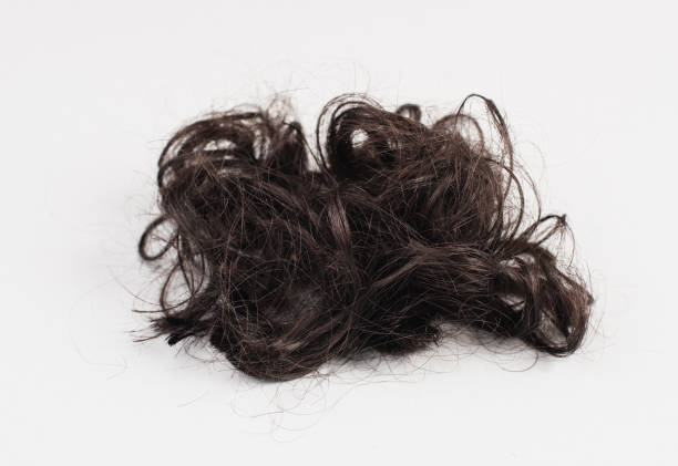 istock Dark black curly human hair isolated on a light gray background 1392760408