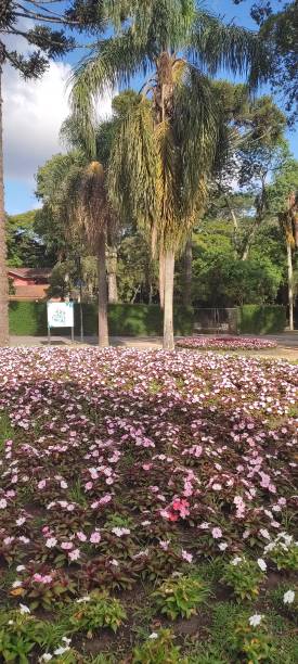 istock Flowers in the park 1392760538