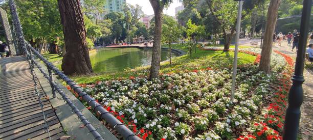 istock Flowers in the park 1392760548