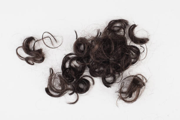 istock Dark black curly human hair isolated on a light gray background 1392760780