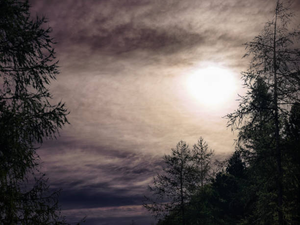 Stormy afternoon in the forest (near the village of Mascognaz, Monte Rosa massif, Aosta Valley, Italy).