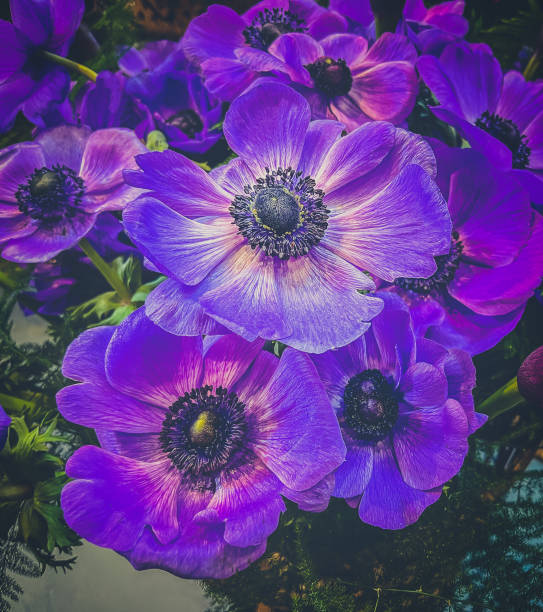 istock Bunch of flower blooms 1392771050