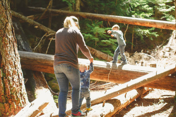 istock Mother helps toddler walk along a log in forest 1392771088