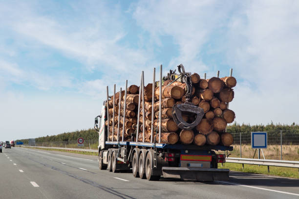 istock truck carrying tree trunks for the wood industry 1392771162