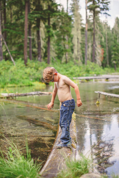 istock Young boy balances on log over stream in forest 1392771465