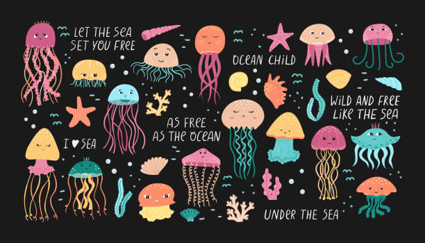 illustrazioni stock, clip art, cartoni animati e icone di tendenza di set vettoriale di illustrazioni di meduse e alghe con conchiglie in stile cartone animato. - water plant coral sea jellyfish
