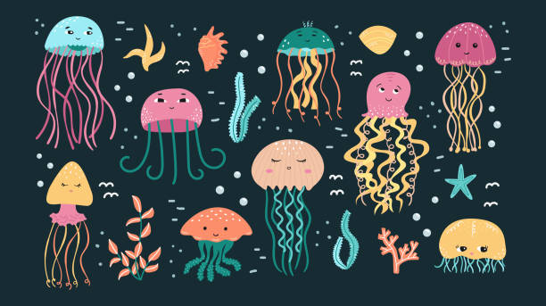 illustrazioni stock, clip art, cartoni animati e icone di tendenza di set vettoriale di illustrazioni di meduse e alghe con conchiglie in stile cartone animato. - water plant coral sea jellyfish